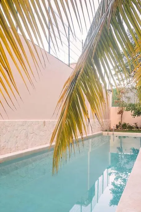 Apartmán Increible Loft Cerca De La Playa Playa del Carmen